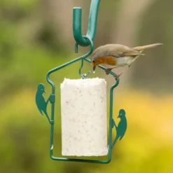 National Trust Gourmet Robin Peanut Cake (500 Ml) -Deals Birdvora Store 10025 01