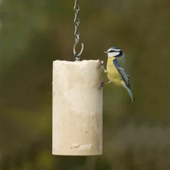 Peanut Cake Tube Original (1 Litre)