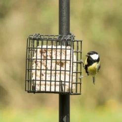 Peanut Cake Square Supreme -Deals Birdvora Store 10077 03