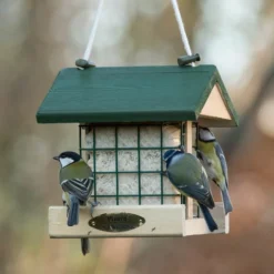 National Trust Insect Peanut Cake 300g -Deals Birdvora Store 10081 03