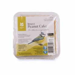 National Trust Insect Peanut Cake 300g -Deals Birdvora Store 10081 nation trust insect peanut cake 300g dv 5804