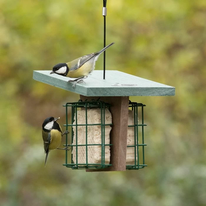 Peanut Cake Square Original 3 Peanut Cake Square Original - Image 3