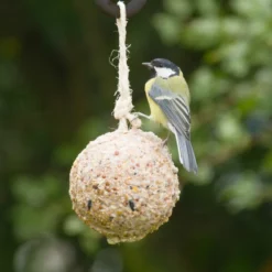 Giant Fat Ball On A Rope - Insects -Deals Birdvora Store 10097 1 1