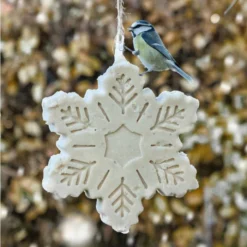 Snowflake Suet Treat 700g