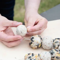 Peanut Butter Modelling Clay (1kg) -Deals Birdvora Store 10247 06 1