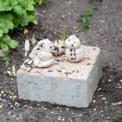 Peanut Butter Modelling Clay (1kg) -Deals Birdvora Store 10247 07 1