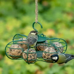 National Trust Ultimate Fat Balls 30 Pack -Deals Birdvora Store 10276 6 1