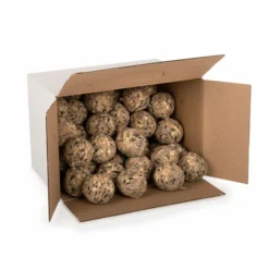 Box Of 50 Ultimate Fat Balls -Deals Birdvora Store 10278 02