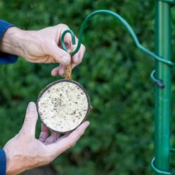 Half Coconut With Peanut Butter Bird Food -Deals Birdvora Store 102790119 1