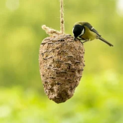 Deals Birdvora Store -Deals Birdvora Store 10280 4