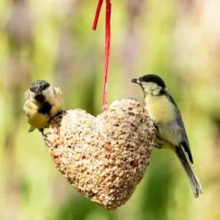 Peanut & Sunflower Heart -Deals Birdvora Store 10289 3
