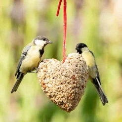 Peanut & Sunflower Heart -Deals Birdvora Store 10289 2