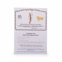 Voucher For Replacement Stick Insect Eggs