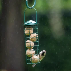 Fat Balls With Insect Fat - 6 Pack