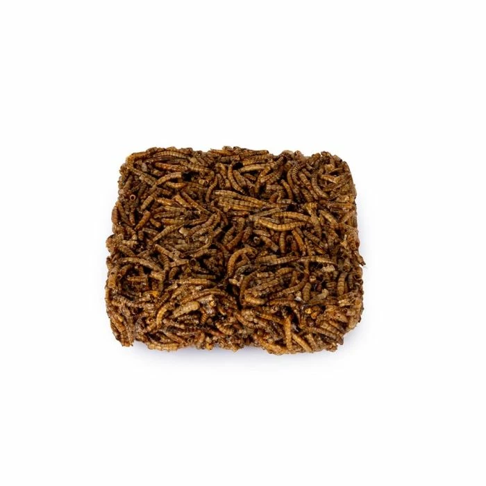Dried Mealworm Square For Birds 90g 1 Dried Mealworm Square For Birds 90g