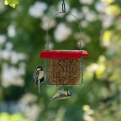 Dried Mealworm Square For Birds 90g 5 Dried Mealworm Square For Birds 90g -Deals Birdvora Store 106640119 qm 6703