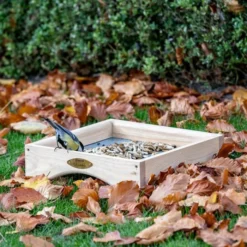 Kandava Ground Bird Feeding Table