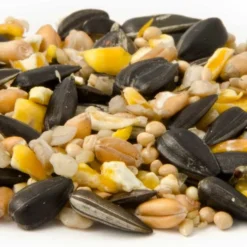 National Trust Garden Bird Table Seed -Deals Birdvora Store 13005