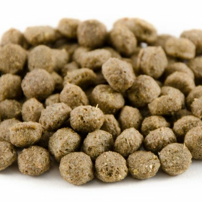 National Trust Kids Duck & Swan Food 3 National Trust Kids Duck & Swan Food - Image 3