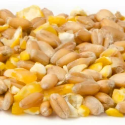Mixed Corn For Larger Ground Feeding Birds -Deals Birdvora Store 18005 3