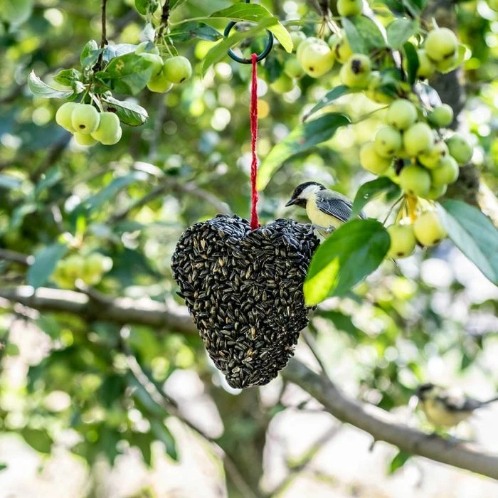 Black Sunflower Heart 2 Black Sunflower Heart - Image 2
