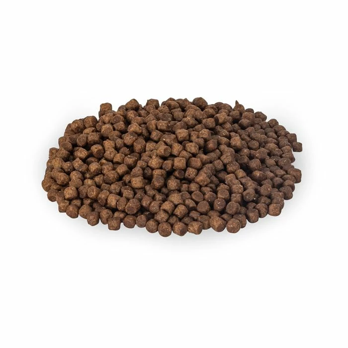 Premium Hedgehog Food 5 Premium Hedgehog Food - Image 5