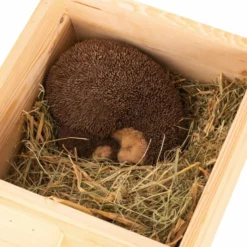 Hedgehog Bedding 500g -Deals Birdvora Store 19056