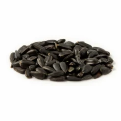Organic Black Sunflower Seeds 2.5kg - Bird Food -Deals Birdvora Store 23004 zwarte zonnebloempitten es 1