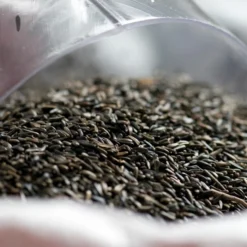 Nyjer Seed - Bird Food To Attract Goldfinches