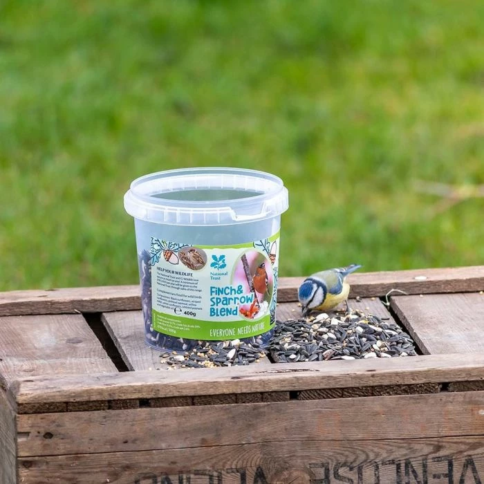 National Trust Kids Finch & Sparrow Blend 1 National Trust Kids Finch & Sparrow Blend