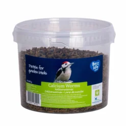Deals Birdvora Store 14 Calcium Worms 600g (bucket)