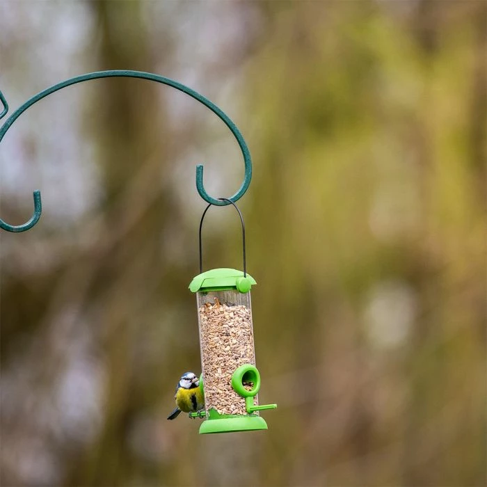 National Trust Kids Robin & Blackbird Mix 3 National Trust Kids Robin & Blackbird Mix - Image 3
