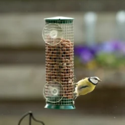 Discovery Plastic Peanut Window Feeder