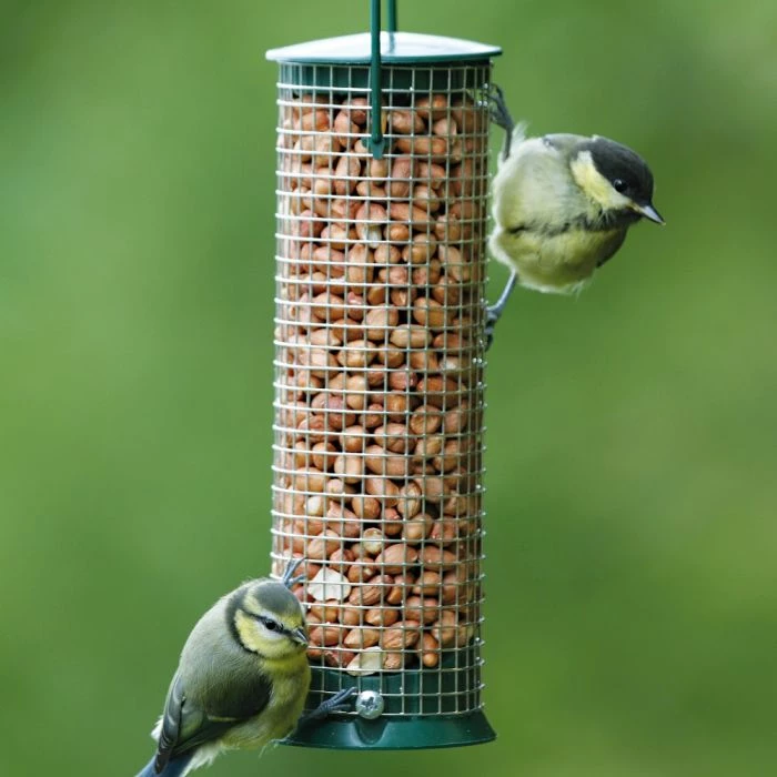 Discovery Plastic Hanging Peanut Bird Feeder 1 Discovery Plastic Hanging Peanut Bird Feeder