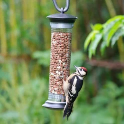 National Trust Apollo Peanut Feeder -Deals Birdvora Store 30095 3