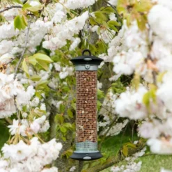 National Trust Apollo Peanut Feeder