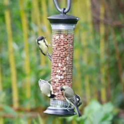 National Trust Apollo Peanut Feeder -Deals Birdvora Store 30095 1