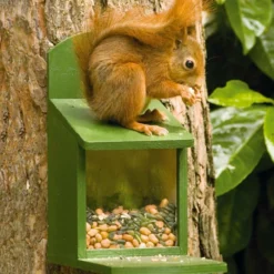 Alberni Squirrel Feeder -Deals Birdvora Store 30305 4 2