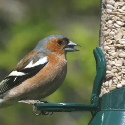 National Trust 2 Port Metal Seed Feeder -Deals Birdvora Store 31030 1