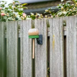 LONA Peanut Butter Feeder P1