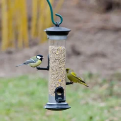 Apollo 3 Port Seed Feeder -Deals Birdvora Store 31095 1