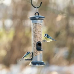 Apollo Bird Seed Feeder Range -Deals Birdvora Store 310950119 5