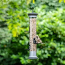 Apollo 5 Port Seed Feeder