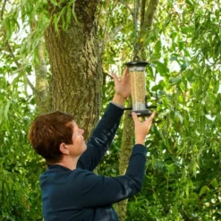 National Trust Apollo 2 Port Bird Seed Feeder -Deals Birdvora Store 310980119 5