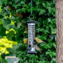 Apollo Bird Seed Feeder Range -Deals Birdvora Store 310990119 150280113 jvg 8509 1