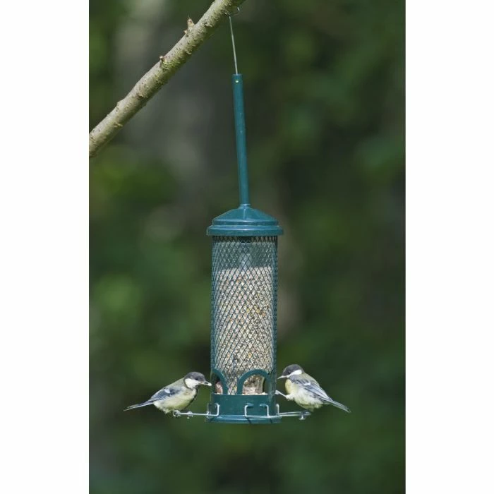 Squirrel Buster Mini Seed Feeder 2 Squirrel Buster Mini Seed Feeder - Image 2