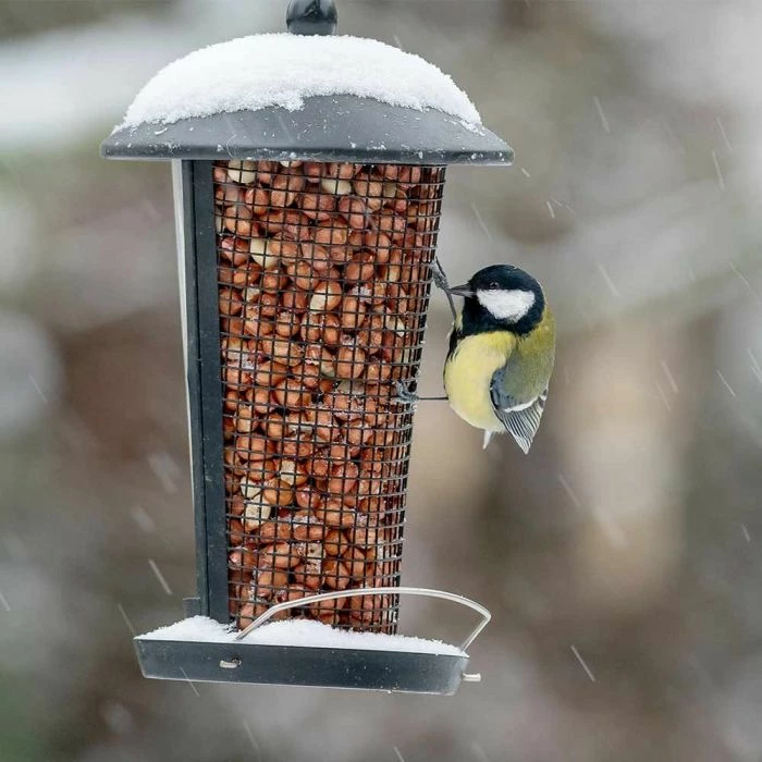 Edessa Multi Bird Feeder 3 Edessa Multi Bird Feeder - Image 3