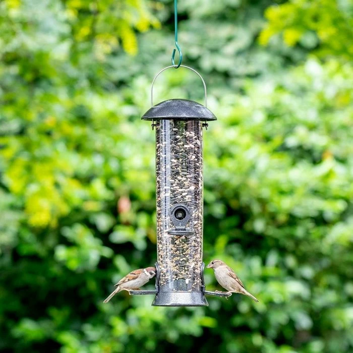 Adventurer 4 Port Seed Feeder 1 Adventurer 4 Port Seed Feeder