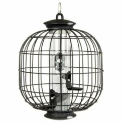 Guardian For Apollo 3 Port Seed Feeder -Deals Birdvora Store 35002 2