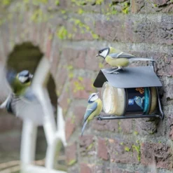 Wicklow Peanut Butter Feeder -Deals Birdvora Store 35025 2
